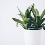 resized_24_api