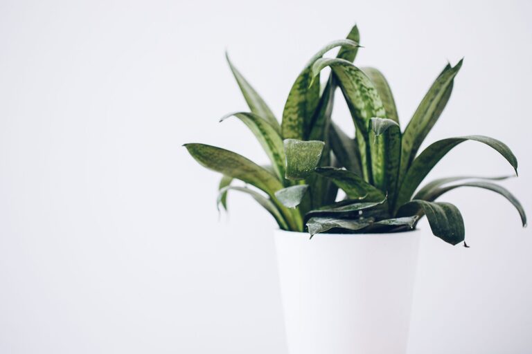 resized_24_api